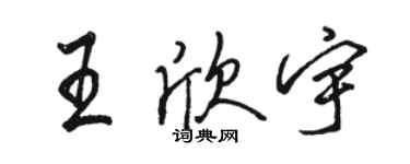駱恆光王欣宇行書個性簽名怎么寫
