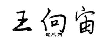 曾慶福王向宙行書個性簽名怎么寫