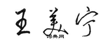 駱恆光王美寧行書個性簽名怎么寫