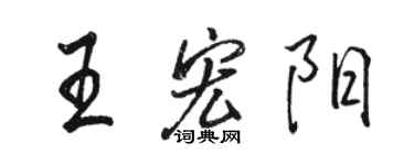駱恆光王宏陽行書個性簽名怎么寫