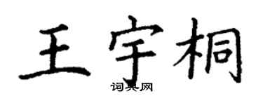 丁謙王宇桐楷書個性簽名怎么寫