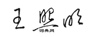 駱恆光王照明草書個性簽名怎么寫