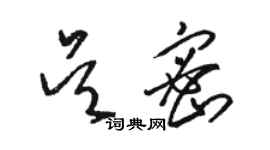 駱恆光吳密草書個性簽名怎么寫