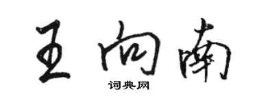 駱恆光王向南行書個性簽名怎么寫