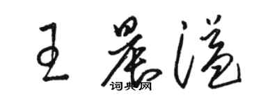 駱恆光王晨溢草書個性簽名怎么寫