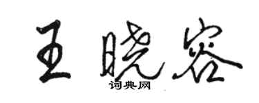 駱恆光王曉容行書個性簽名怎么寫