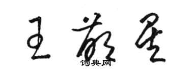 駱恆光王萌星草書個性簽名怎么寫