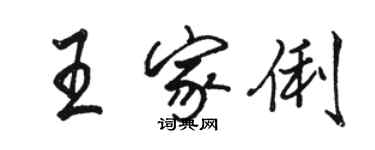 駱恆光王家俐行書個性簽名怎么寫