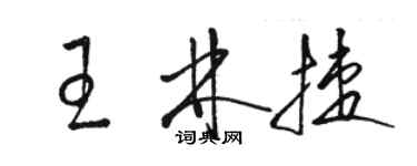 駱恆光王林捷草書個性簽名怎么寫