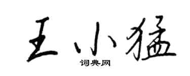 王正良王小猛行書個性簽名怎么寫