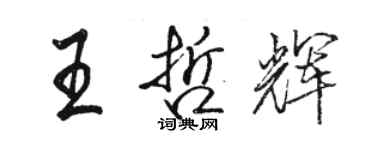 駱恆光王哲輝行書個性簽名怎么寫