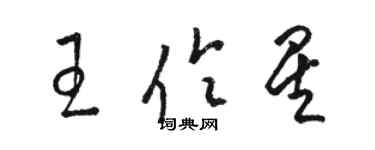 駱恆光王伶星草書個性簽名怎么寫