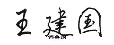 駱恆光王建國行書個性簽名怎么寫