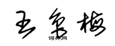 朱錫榮王魯梅草書個性簽名怎么寫