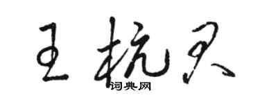 駱恆光王杭君草書個性簽名怎么寫