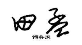 朱錫榮田孟草書個性簽名怎么寫