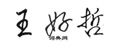 駱恆光王好哲行書個性簽名怎么寫