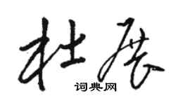 駱恆光杜展草書個性簽名怎么寫