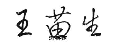 駱恆光王苗生行書個性簽名怎么寫