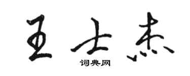 駱恆光王士傑行書個性簽名怎么寫