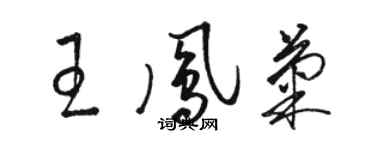 駱恆光王鳳菊草書個性簽名怎么寫