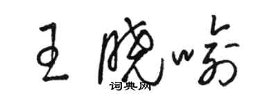 駱恆光王曉喻草書個性簽名怎么寫