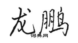 駱恆光龍鵬行書個性簽名怎么寫
