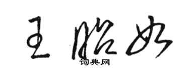 駱恆光王昭如草書個性簽名怎么寫