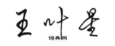 駱恆光王葉星行書個性簽名怎么寫