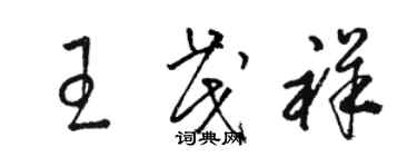 駱恆光王茂祥草書個性簽名怎么寫