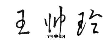 駱恆光王帥玲草書個性簽名怎么寫