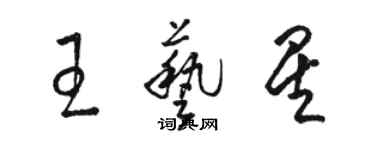 駱恆光王藝星草書個性簽名怎么寫