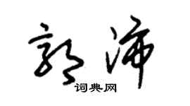 朱錫榮郭沛草書個性簽名怎么寫