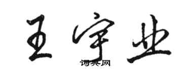 駱恆光王宇業行書個性簽名怎么寫