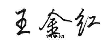 駱恆光王金紅行書個性簽名怎么寫
