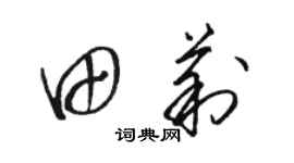 駱恆光田莉草書個性簽名怎么寫