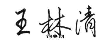 駱恆光王林清行書個性簽名怎么寫