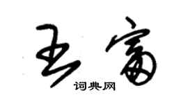 朱錫榮王富草書個性簽名怎么寫