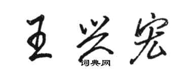 駱恆光王興宏行書個性簽名怎么寫