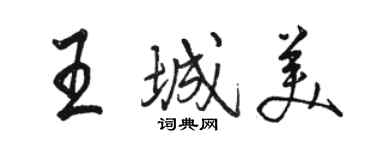 駱恆光王城美行書個性簽名怎么寫