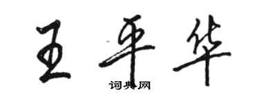 駱恆光王平華行書個性簽名怎么寫