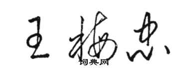 駱恆光王梅忠草書個性簽名怎么寫