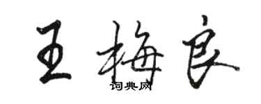 駱恆光王梅良行書個性簽名怎么寫