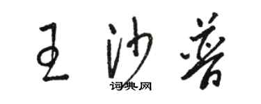 駱恆光王沙普草書個性簽名怎么寫