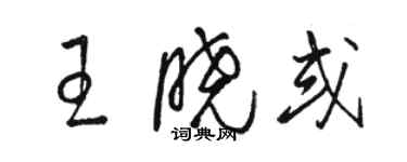 駱恆光王曉或草書個性簽名怎么寫