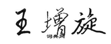 駱恆光王增旋行書個性簽名怎么寫
