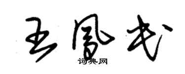 朱錫榮王鳳民草書個性簽名怎么寫