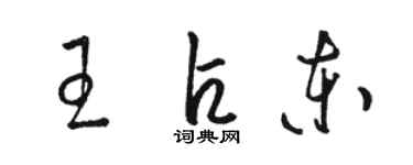 駱恆光王占東草書個性簽名怎么寫