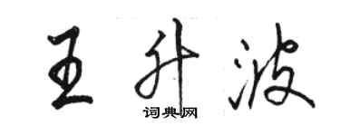 駱恆光王升波行書個性簽名怎么寫