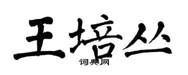 翁闓運王培叢楷書個性簽名怎么寫